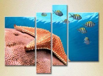Модульные картины Морская звезда на глубине Mor9195 фото