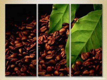 Tablouri modulare Boabe de cafea_01 Eda9845 фото