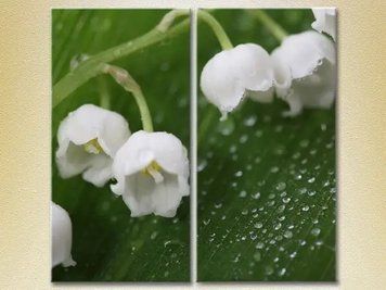 Tablouri modulare lacramioare TSv6846 фото