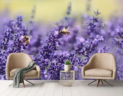 Albinele colectează nectarul într-un câmp de lavandă Lav2196 фото