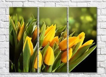 Triptic Lalele galbene acoperite cu rouă TSv8047 фото