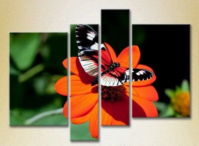 Модульные картины Бабочка на цветке ZHi9297 фото